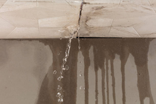 Professional Water Damage Repair technician working in Erie, KS